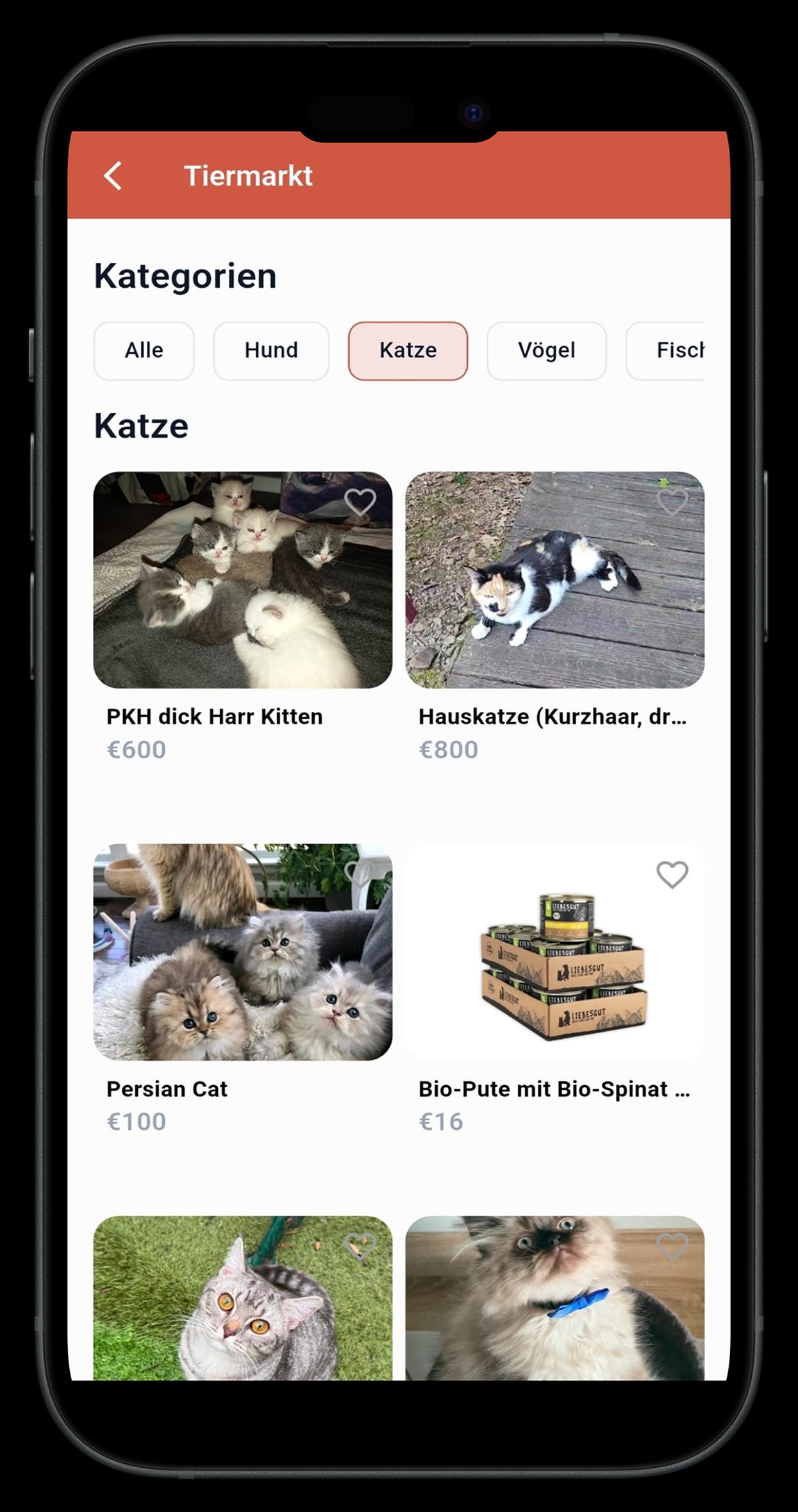 Katzen finden